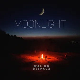 Moonlight by DEspaux