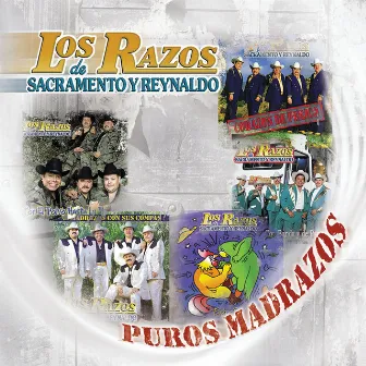 Puros Madrazos by Los Razos