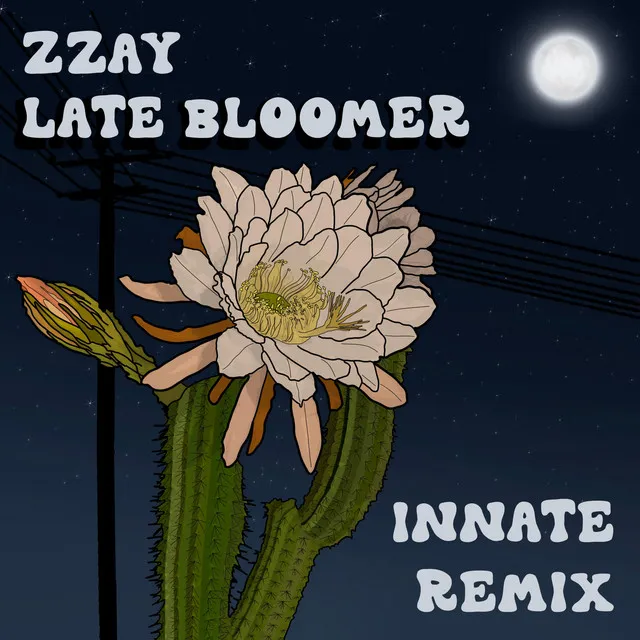 Late Bloomer (Remix)