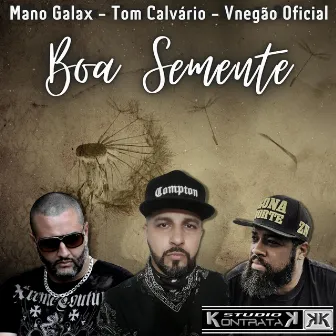 Boa Semente by Tom Calvário