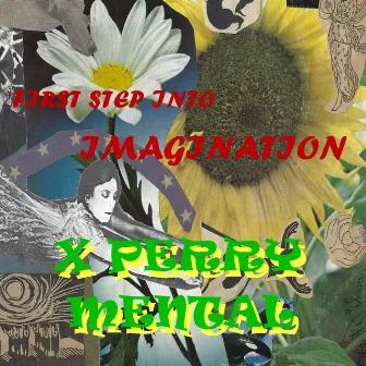 First Step into Imagination by X Perry Mental