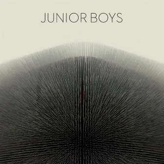 It's All True by Junior Boys