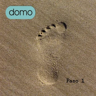 Paso 1 by DOMO