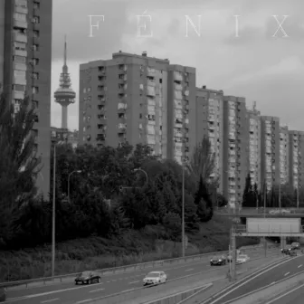 Fénix by Brawler