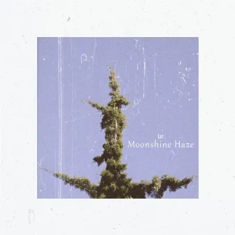 Moonshine Haze by Tat