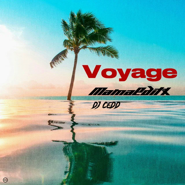 Voyage