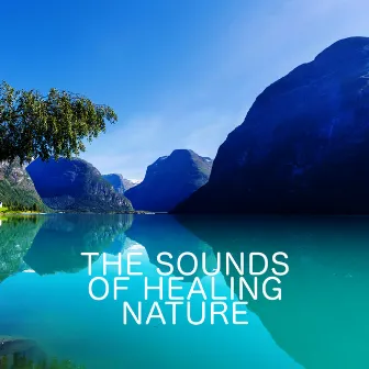 The Sounds of Healing Nature by Unknown Artist