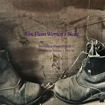 The Plum Women's Blues: The Guitar Music of Wall Matthews (1994-1996), Vol. 3 by Wall Matthews