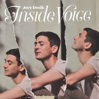 Inside Voice by Joey Dosik