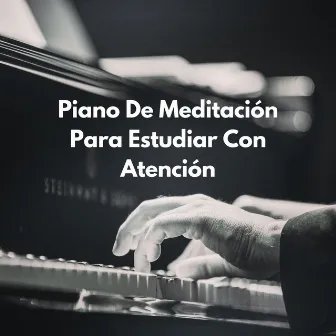 Búsqueda Pacífica: Piano De Meditación Para Estudiar Con Atención by Leyendas de la música de estudio