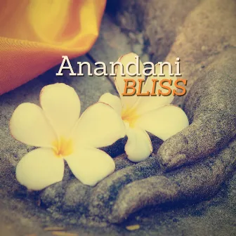 Anandani Bliss by Anandani