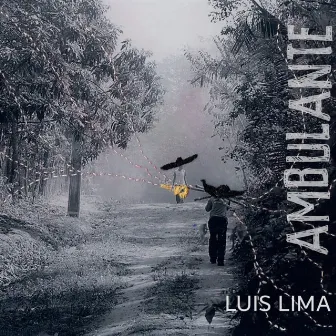 Ambulante by Luís Lima