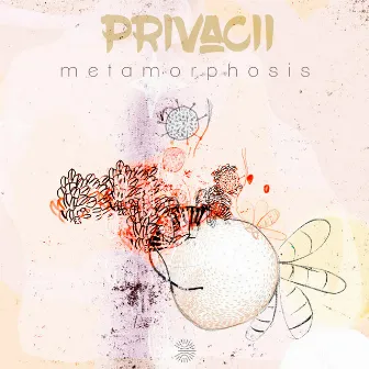 Metamorphosis by Privacii