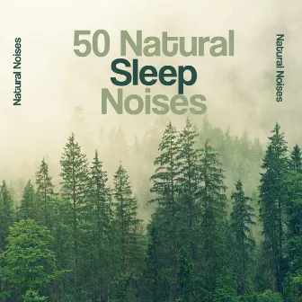 50 Natural Sleep Noises by Natural Noises