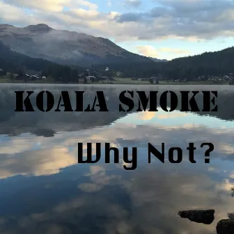 Why Not? by Koala Smoke