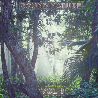 Sound Natural Vol. 3 by ZU SAN