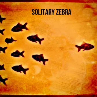 Away by Solitary Zebra