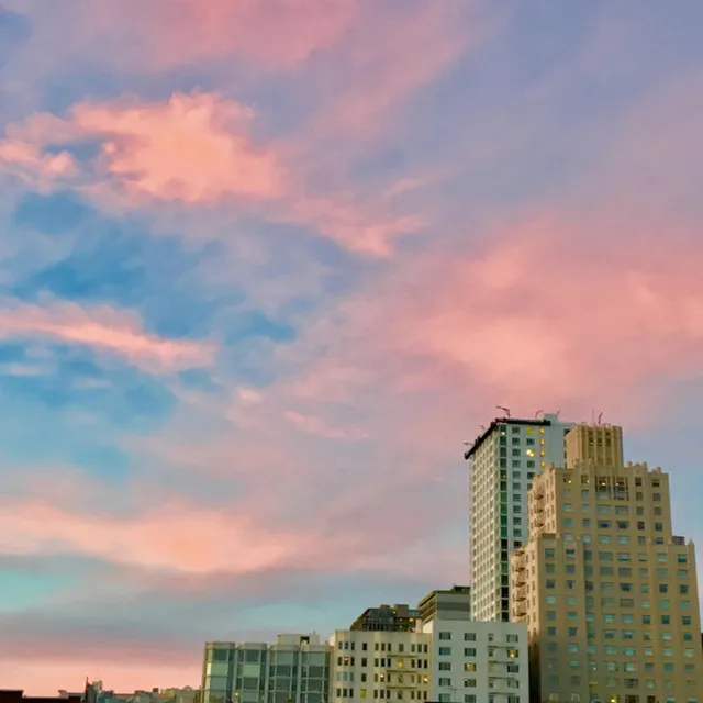 S.F Cityscape