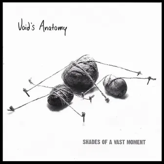 Shades Of A Vast Moment by Void's Anatomy