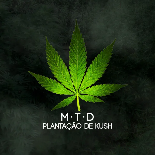 Plantação de Kush