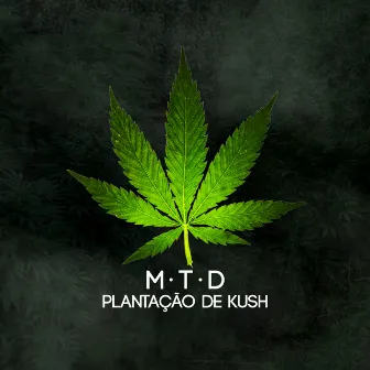 Plantação de Kush by MTD7 BR