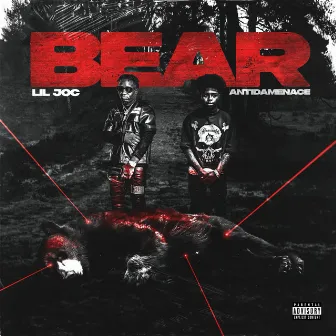 BEAR by Lil Joc