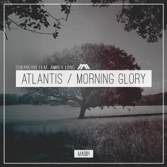 Atlantis / Morning Glory by Amber Long