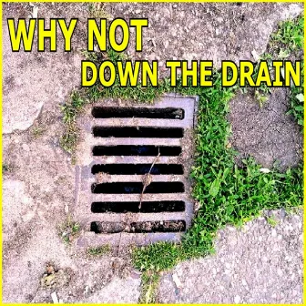 Down the Drain by Why Not