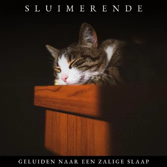 Sluimerende Geluiden naar een Zalige Slaap by Unknown Artist