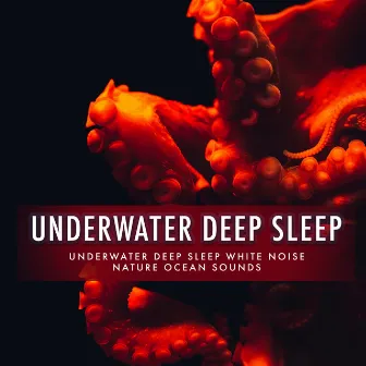 Underwater Deep Sleep by Underwater Deep Sleep White Noise Nature Ocean Sounds