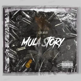 Mula Story by EBK Mula