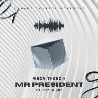 Mr President by Woza Thobzin