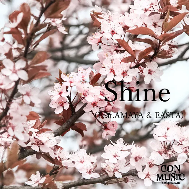 Shine