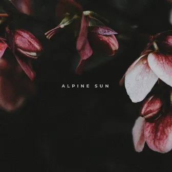 Farewell by Alpine Sun