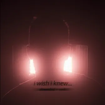 i wish i knew... (slowed + verb) by QU