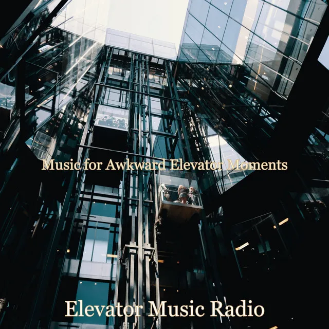 Music for Awkward Elevator Moments