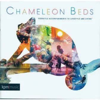 Chameleon Beds by Simon Lockyer