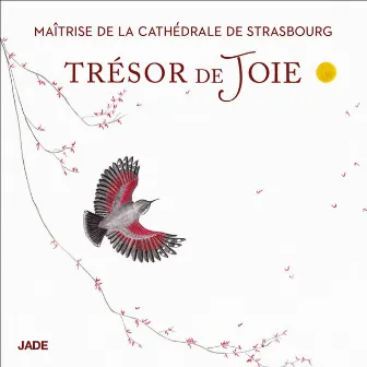 Trésors de joie by Maîtrise de la Cathédrale de Strasbourg