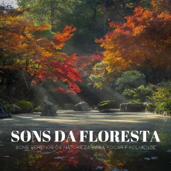 Sons Da Floresta: Sons Serenos Da Natureza Para Focar Facilmente by Experiência Musical Adormecida