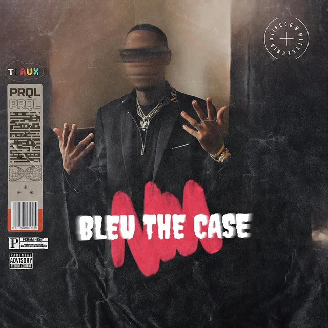 Bleu The Case