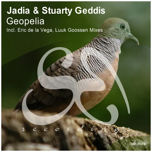 Geopelia - Luuk Goossen Remix