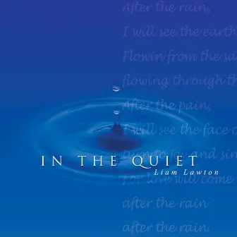 In the Quiet by Liam Lawton