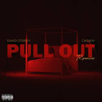 Pull out (Remix) by Chris Dean