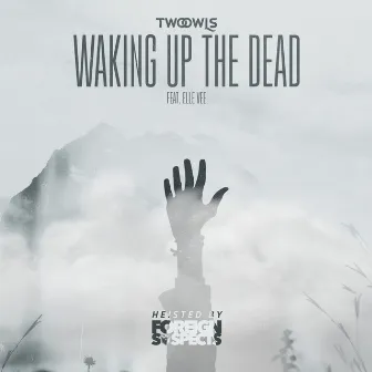 Waking Up The Dead (Heisted by Foreign Suspects) by TWO OWLS