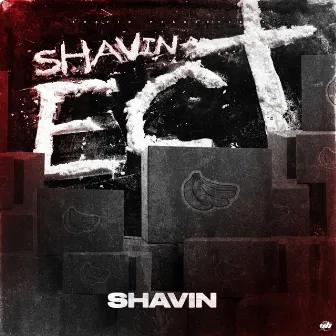 Ect by Shavin