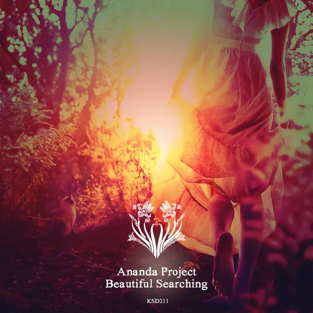 Beautiful Searching - Rasmus Faber Remix