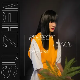 Perfect Place Remixes by Sui Zhen