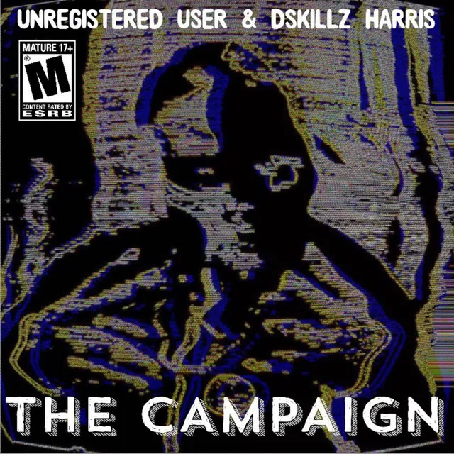 The Campaign