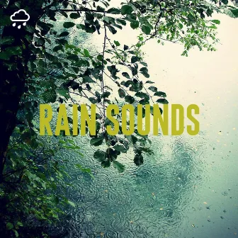 Rain Sounds by Rain Sounds Recordings