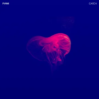 Catch by FVHM